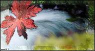 Jana Vážná - Water