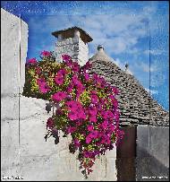 Jana Vážná - Alberobello
