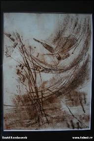 David Rambousek - Vážka III.