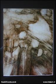 David Rambousek - Metamorfoza krajiny II.