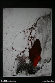 David Rambousek - Metamorfoza krajiny III.