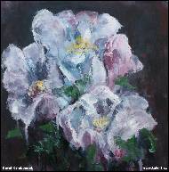 David Rambousek - Bílé růže