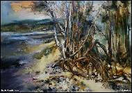 David Rambousek - Rozrývané pobřeží