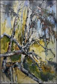 David Rambousek - Větvoví