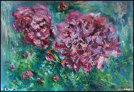 David Rambousek - Pivoně