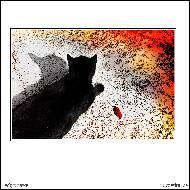 Rudy Chorvat - Cat and Storm