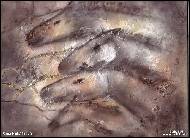 Soňa Hubáčková - 