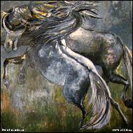 Soňa Hubáčková - Souboj hřebců