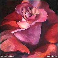 Soňa Hubáčková - Nachová růže