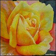 Soňa Hubáčková - 