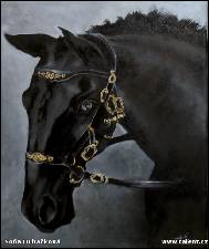 Soňa Hubáčková - 