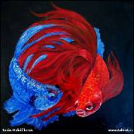 Soňa Hubáčková - 