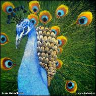 Soňa Hubáčková - 