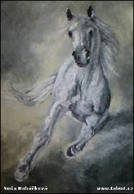 Soňa Hubáčková - Bělouška