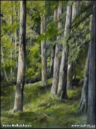 Soňa Hubáčková - 