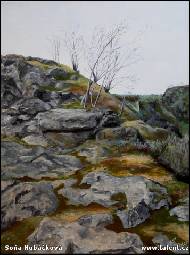 Soňa Hubáčková - 