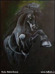 Soňa Hubáčková - Frísan