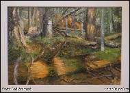 Soňa Hubáčková - 