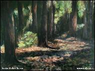 Soňa Hubáčková - 