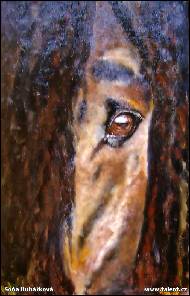 Soňa Hubáčková - 