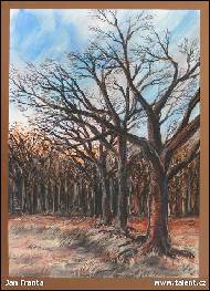 Jan Franta - Stromořadí