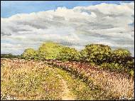 Lubomír Krátký - Pěšina 