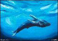 Kristýna Jarošová - Velryba