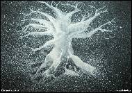 Kristýna Jarošová - Ruce