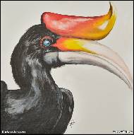 Kristýna Jarošová - Zoborožec