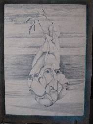 Petr Kalbfell - 