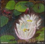 Věra Orzághová - Lekníny