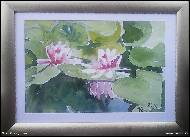 Věra Orzághová - Lekníny