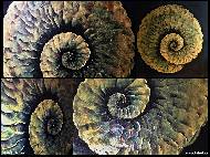 Silvie Hoblová - Primární hmota