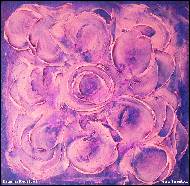 Katarína Regešová - Stěna růží - PRODANY