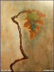 Jaroslav Wild - Modrý Portugal