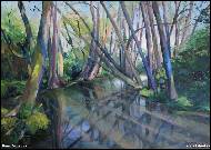 Hana Danková - Botič creek