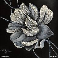 Hana Klímová - Černobílý květ