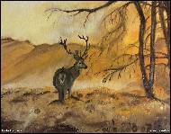 Pavla Stancova - Waiting for the love