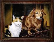 Viktor Bandík - Pes a kočka