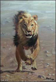Jan Filip - Lev Etosha
