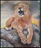 Yawning lion, oil painting on canvas