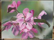 Marija Ban - Višeň květ, olejomalba na platně
