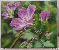 Marija Ban - Fialkový květ, olejomalba na platně