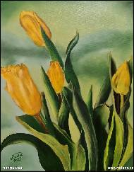 Marija Ban - žluté tulipány, olejomalba na platně, rozměr 50x40 cm