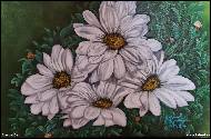 Marija Ban - daisies, oil on canvas 60x40 cm