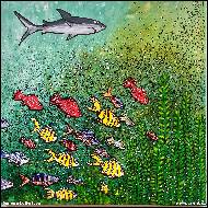 Simona Kollertová -  Escape to safety