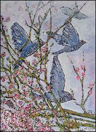 Simona Kollertová - Do růžova