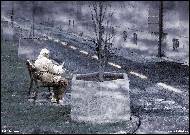 Petr Scheuer - Není kam spěchat