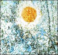 Petr Scheuer - Letní den