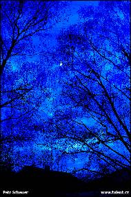 Petr Scheuer - Modré svítání